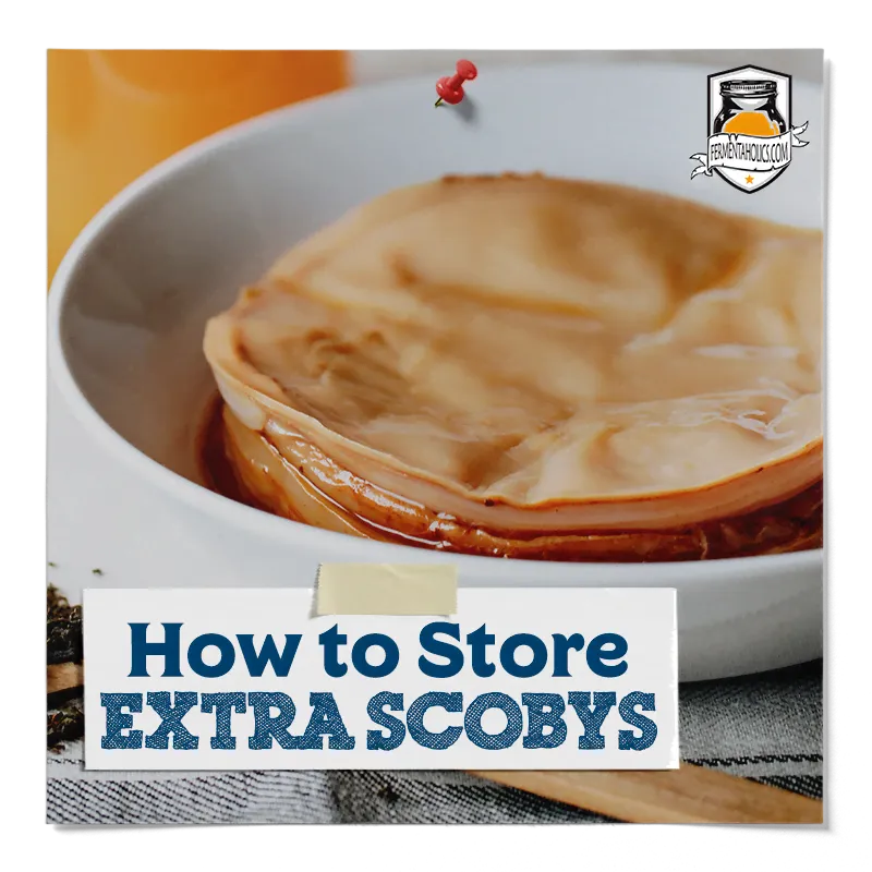 How to Store Extra SCOBYs