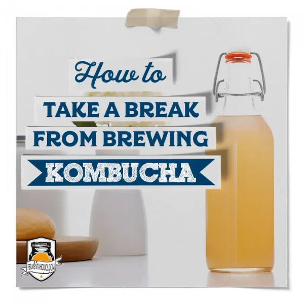 How To Take A Break From Brewing Kombucha