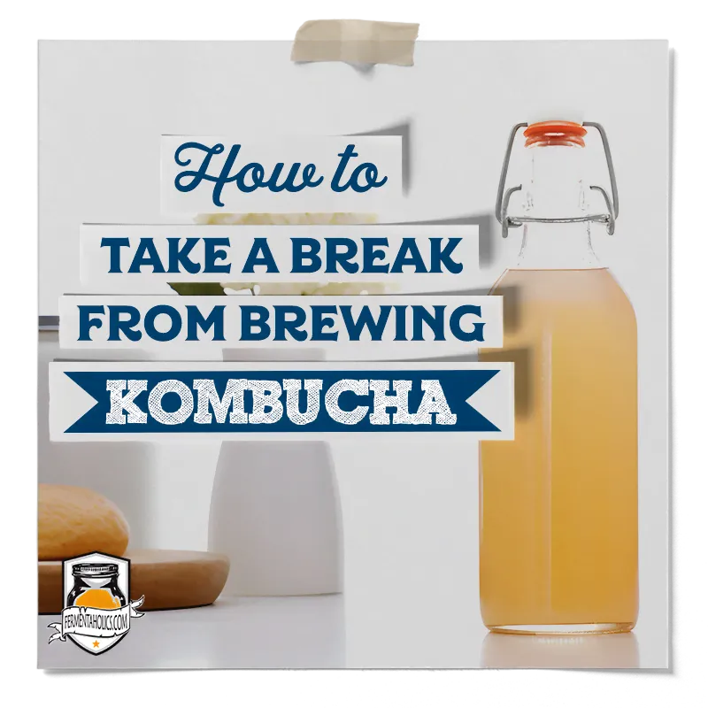 How to Take a Break From Brewing Kombucha