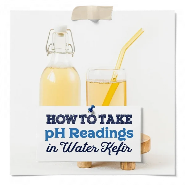 How To Take Ph Readings In Water Kefir