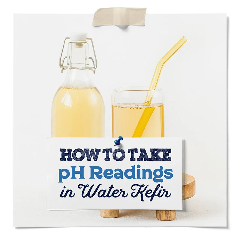 How to Take pH Readings in Water Kefir