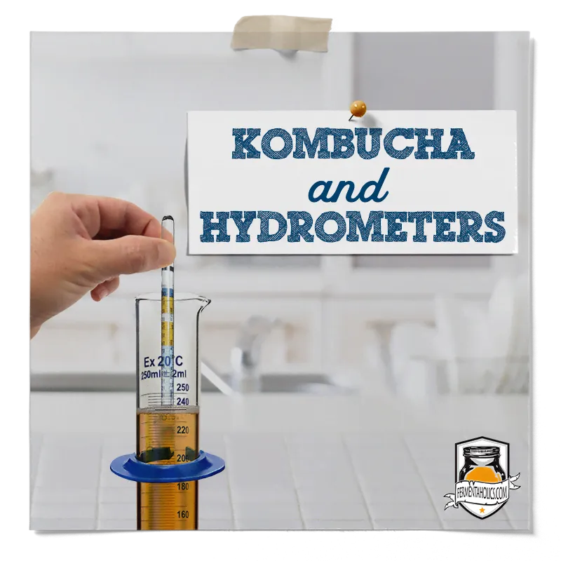 How to Use a Hydrometer for Kombucha