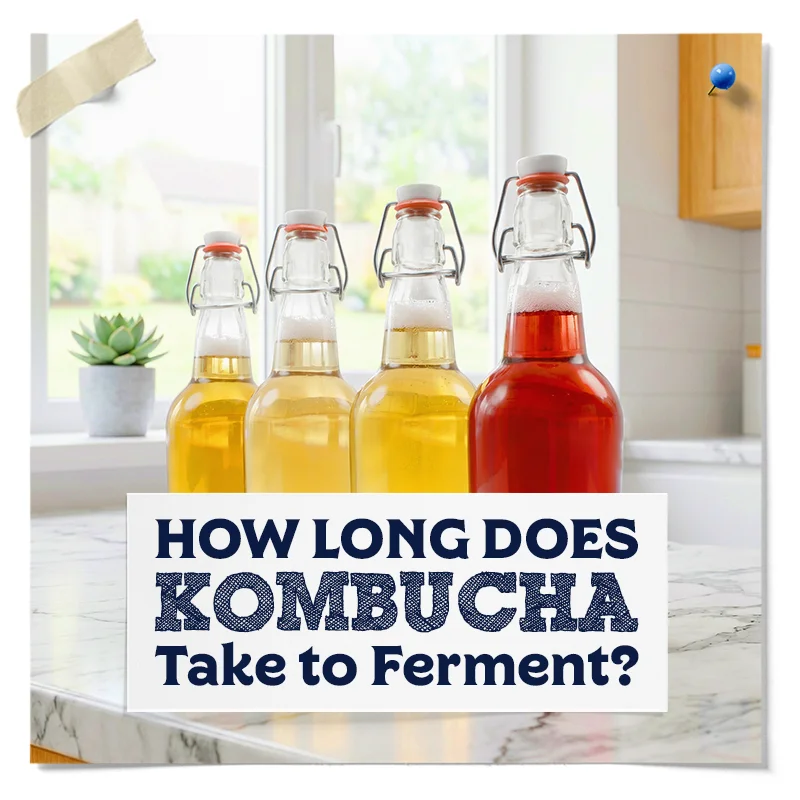 Four swing-top bottles of golden and red kombucha with text reading “How Long Does Kombucha Take to Ferment?”