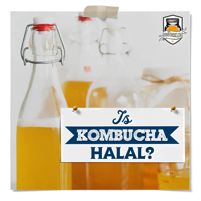 Is Kombucha Halal