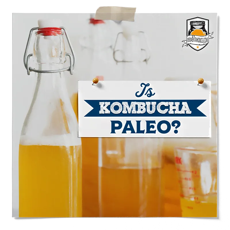 Is Kombucha Paleo