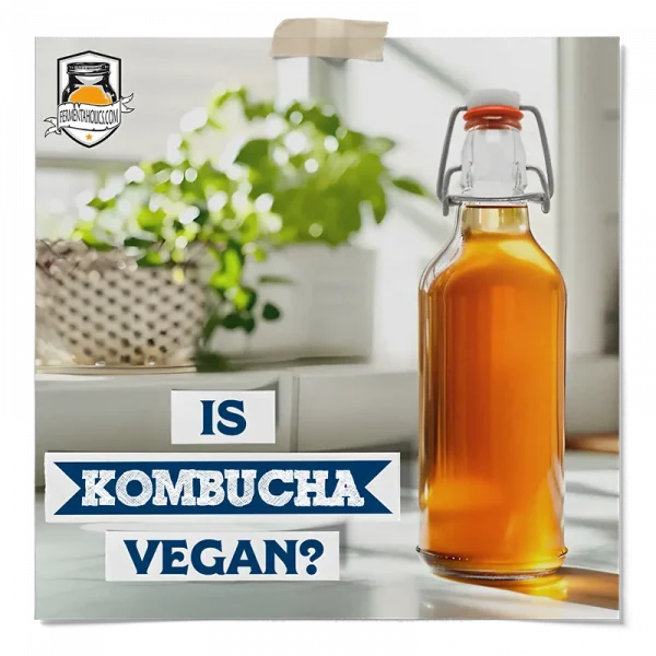 Is Kombucha Vegan