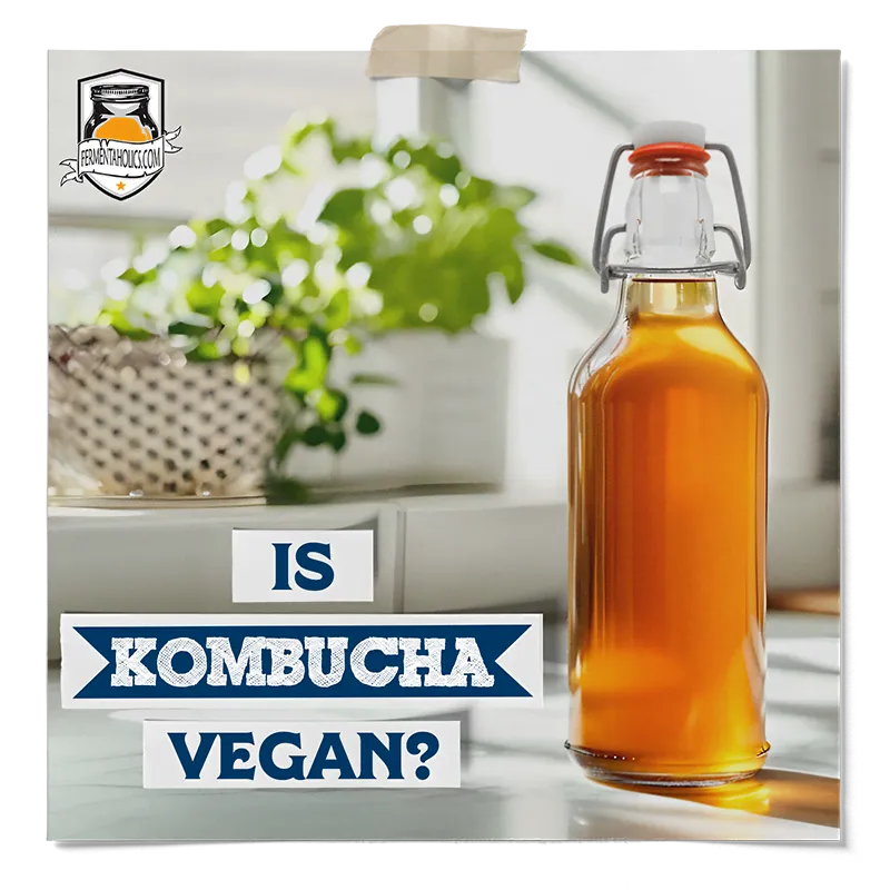 Is Kombucha Vegan