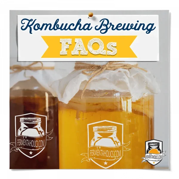 Kombucha Brewing Faqs