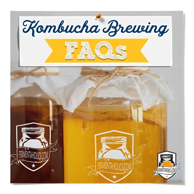 Kombucha Brewing FAQs