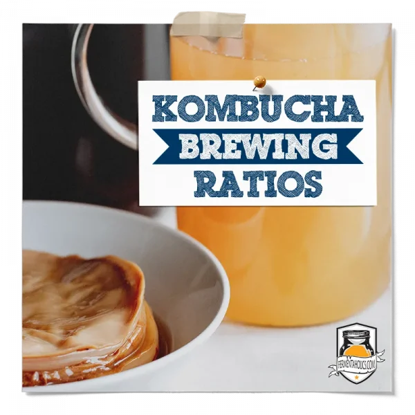 Kombucha Brewing Ratios