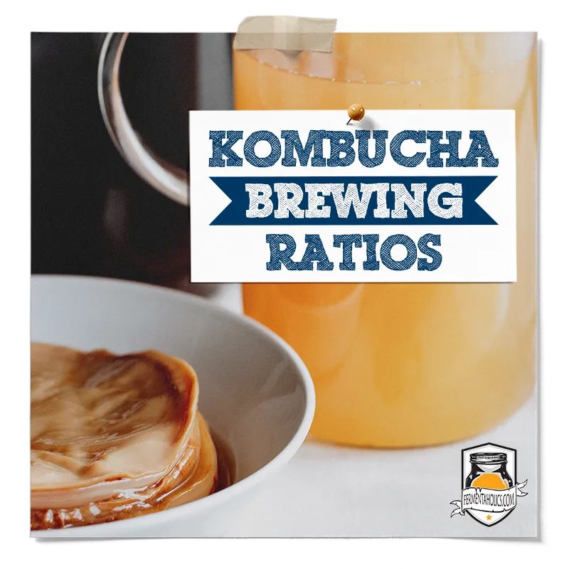 Kombucha Brewing Ratios