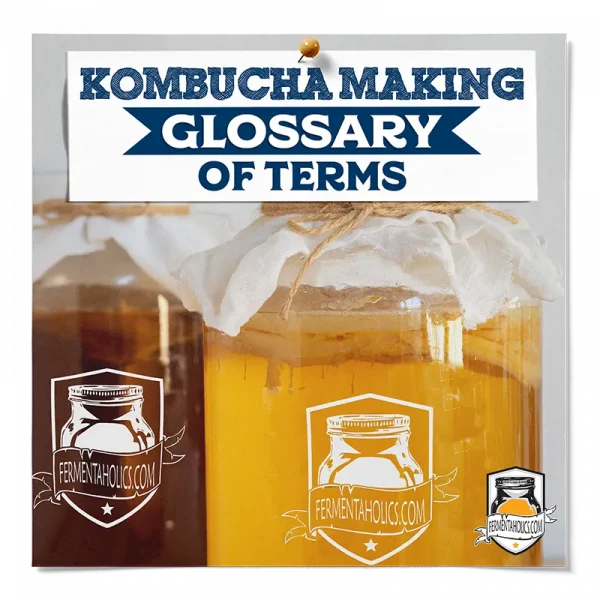 Kombucha Making Glossary Of Terms
