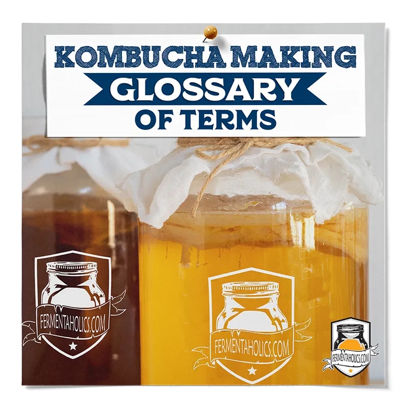 Kombucha Making Glossary of Terms
