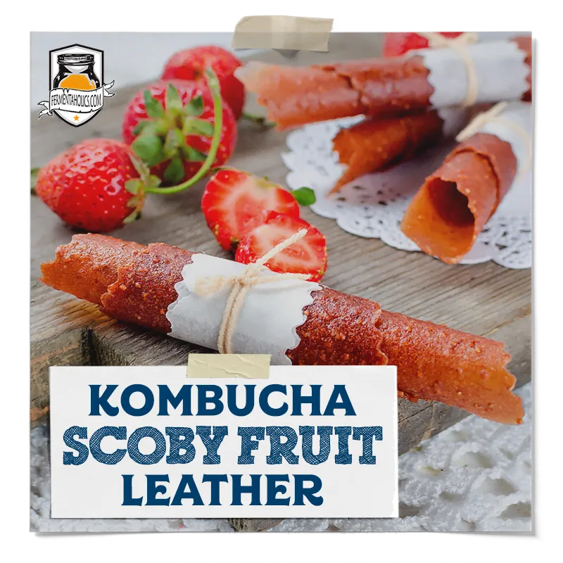 Kombucha SCOBY Fruit Leather