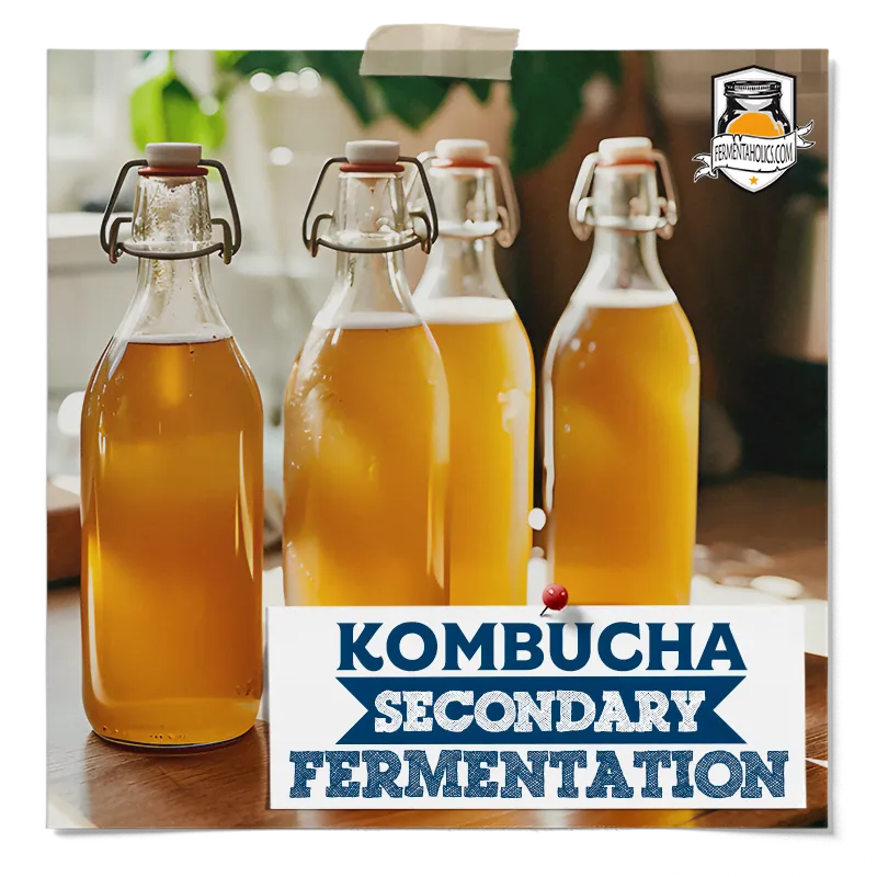 Kombucha Secondary Fermentation