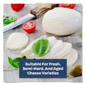 Fresh mozzarella cheese ball and sliced mozzarella with basil, tomatoes, and olives, illustrating cheeses suitable for fresh, semi-hard, and aged cheese making.
