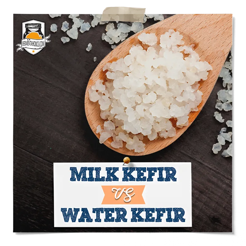 Milk Kefir vs Water Kefir