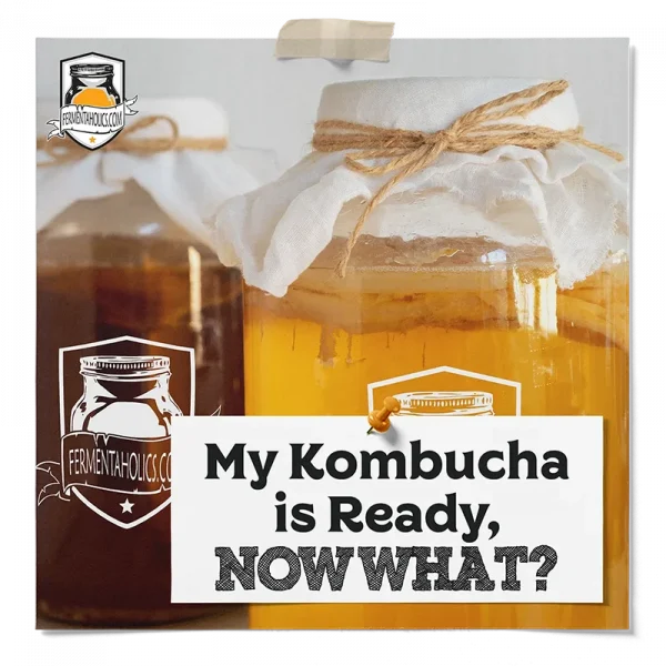My Kombucha Is Ready Now What