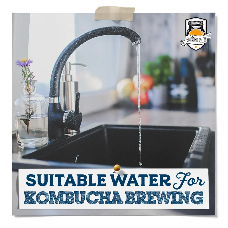 Suitable Water for Kombucha Brewing