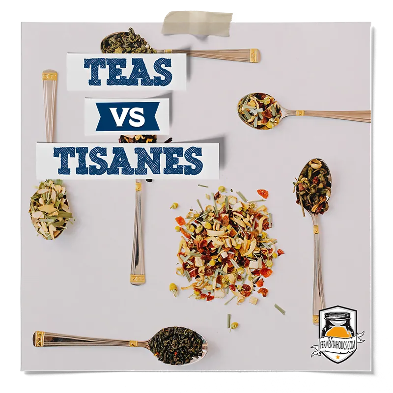 Tea vs Tisanes