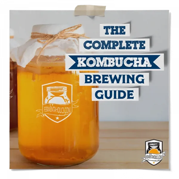 The Complete Kombucha Brewing Guide