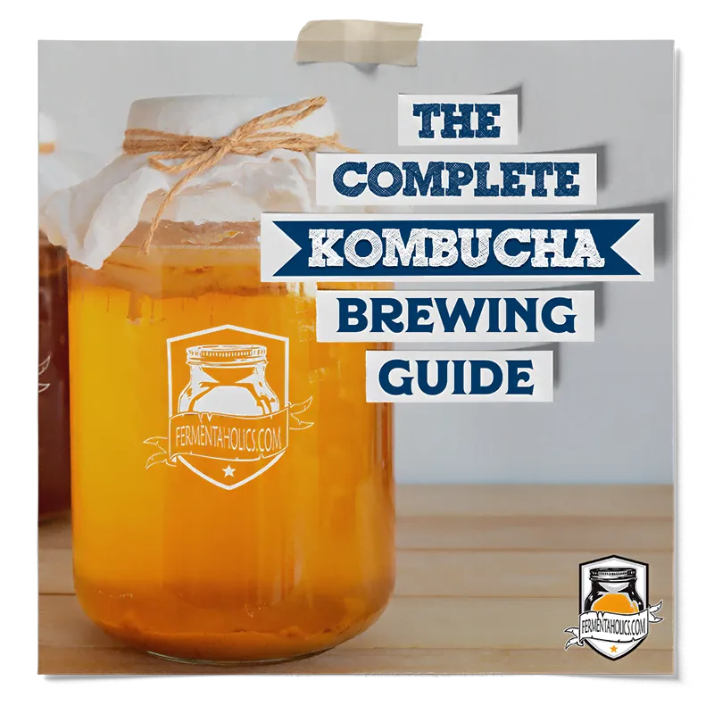 The Complete Kombucha Brewing Guide