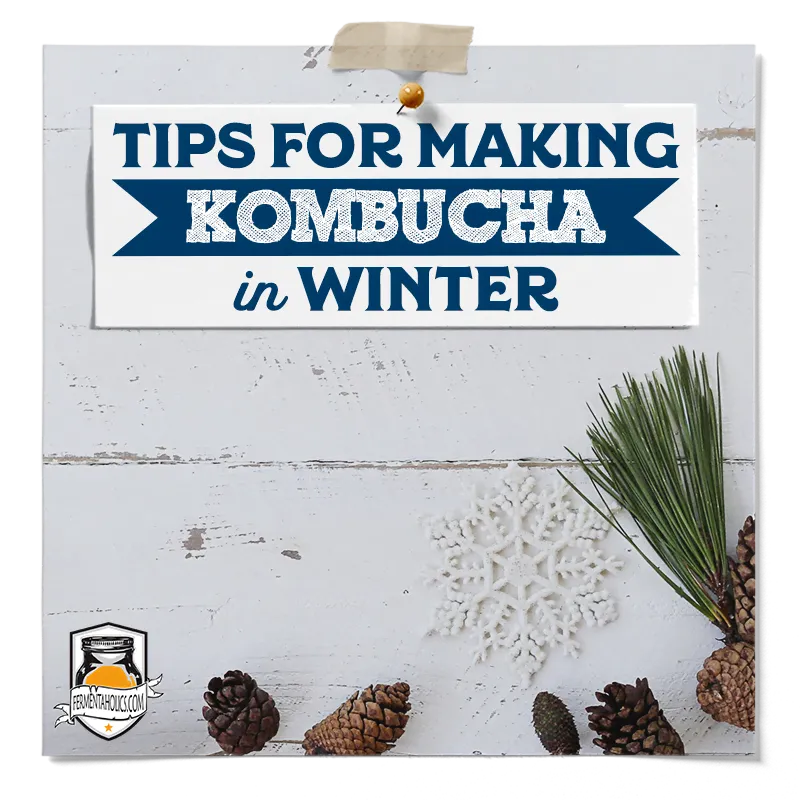 Tips For Making Kombucha in Winter