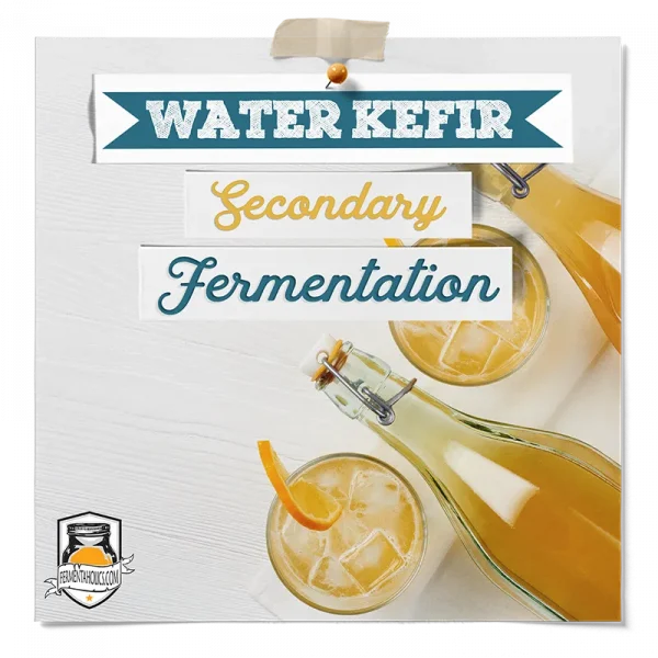 Water Kefir Secondary Fermentation