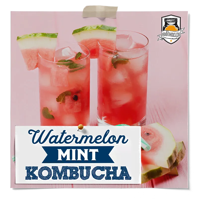 Watermelon Mint Kombucha