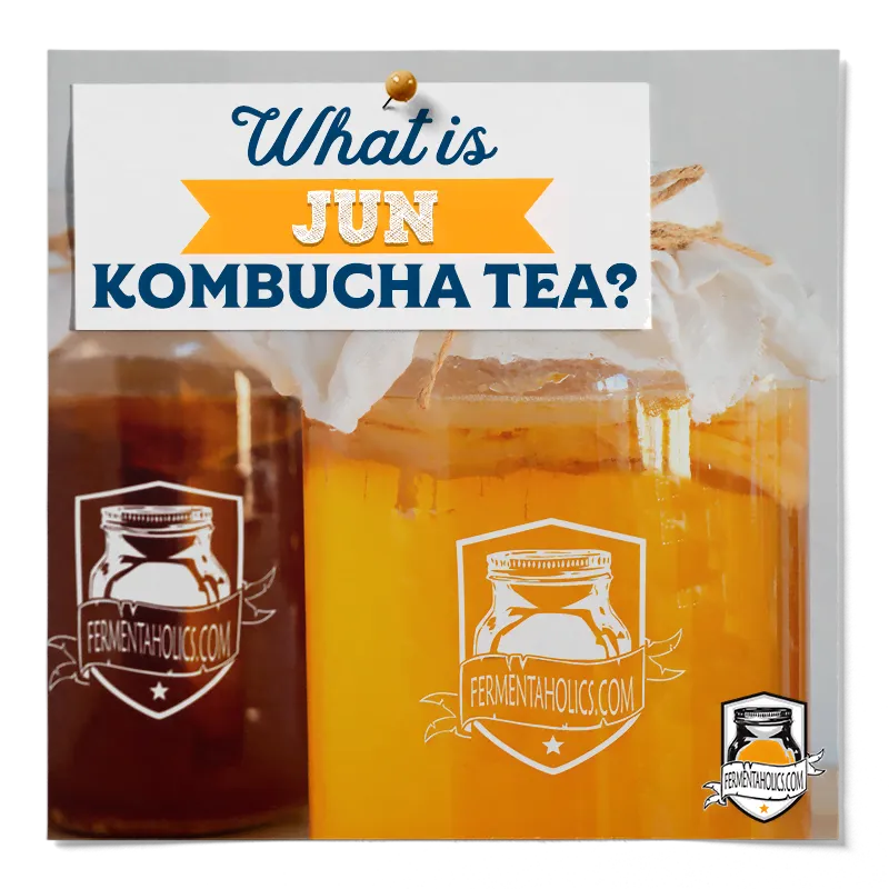 What is Jun Kombucha Tea