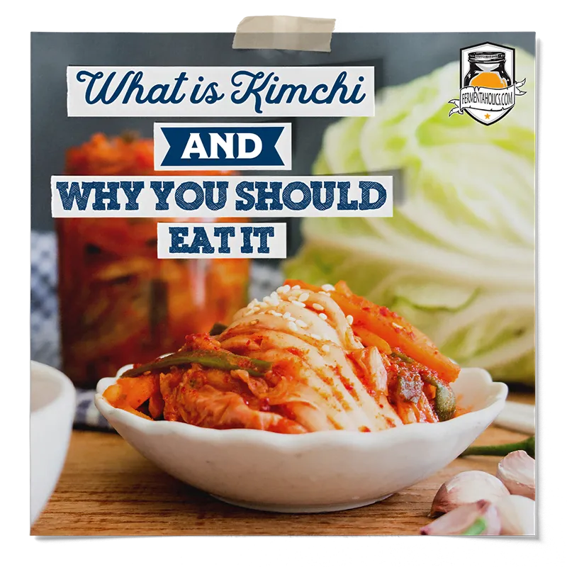 What is Kimchi and Why You Should Eat it