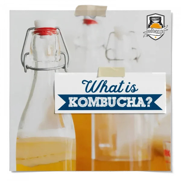What Is Kombucha