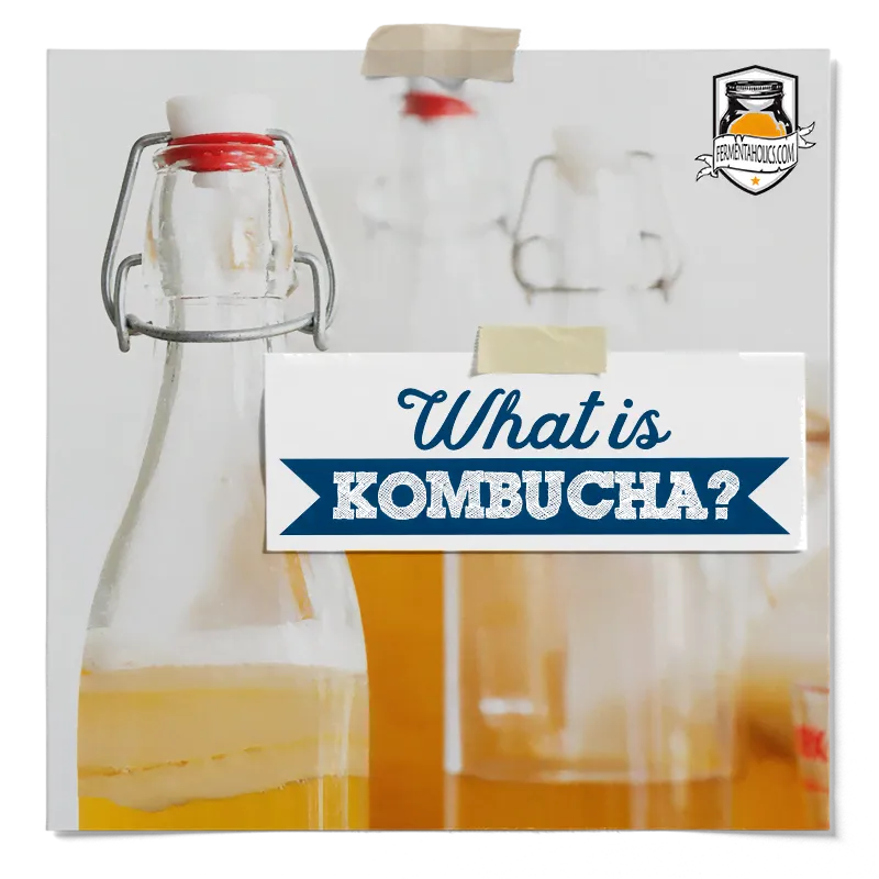 What is Kombucha