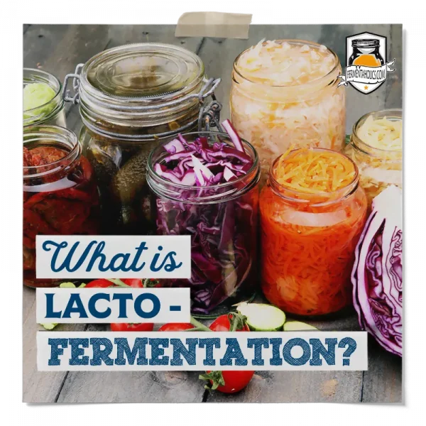 What Is Lacto-Fermentation