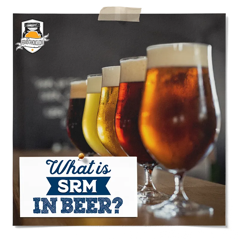 What is SRM in Beer
