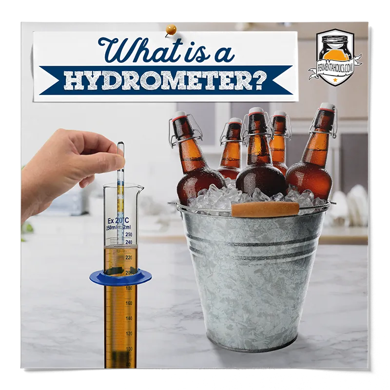 What is a Hydrometer in Fermentation