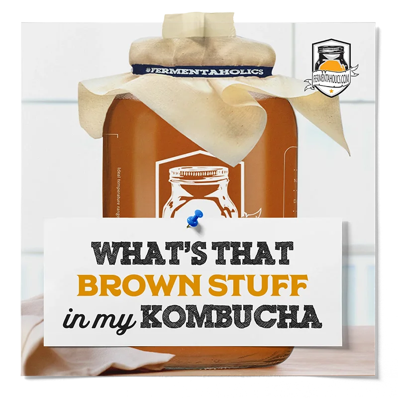 Whats That Brown Stuff In My Kombucha