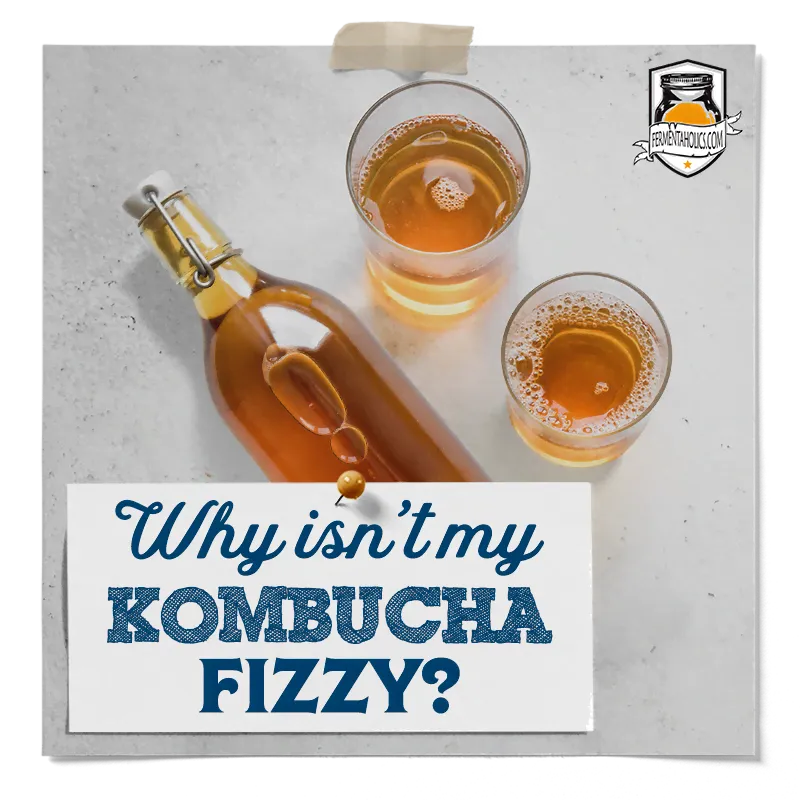 Why Isn't My Kombucha Fizzy