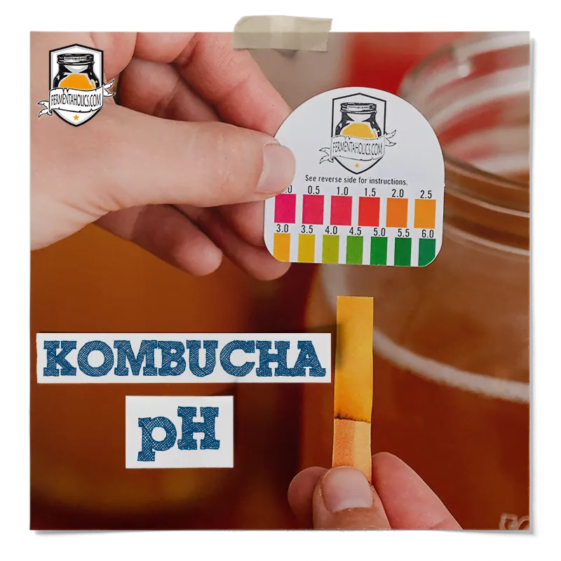 Why is pH Important for Kombucha